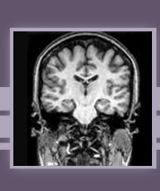 Neurology Specific Literature Search